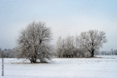 Piękna zima na Podlasiu