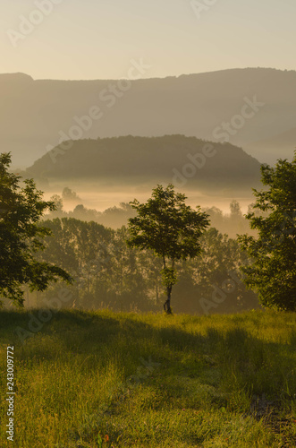 Misty morning