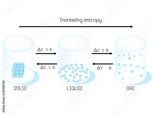 Entropy 
