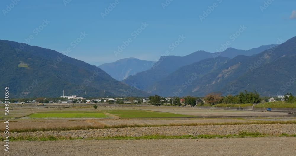 Chishang rice meadow field Chishang rice meadow field