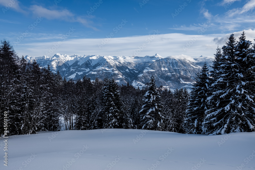 Aussicht vom Glaubenbergpass an einem kalten Wintertag, Obwalden/Schweiz/Europa