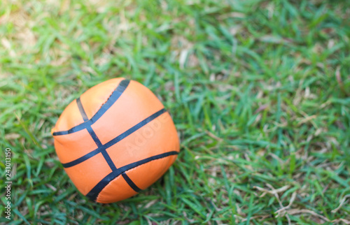 Orange basketball on green grass