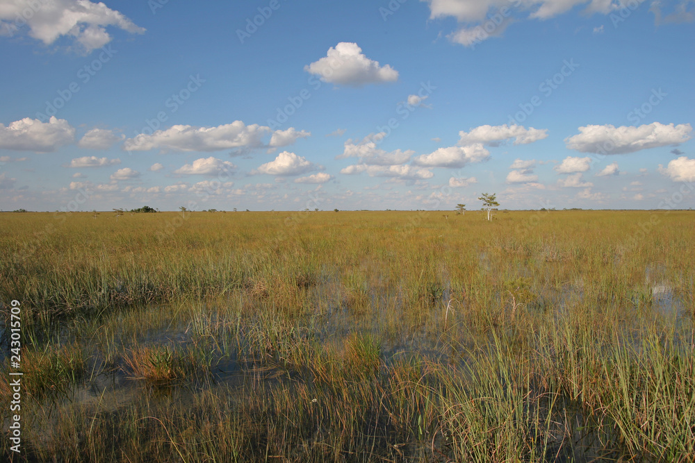 Sawgrass expanse in Everglades National Park, Florida, from the Pa-Hay-Okee boardwalk under a beautiful autumn cloudscape.