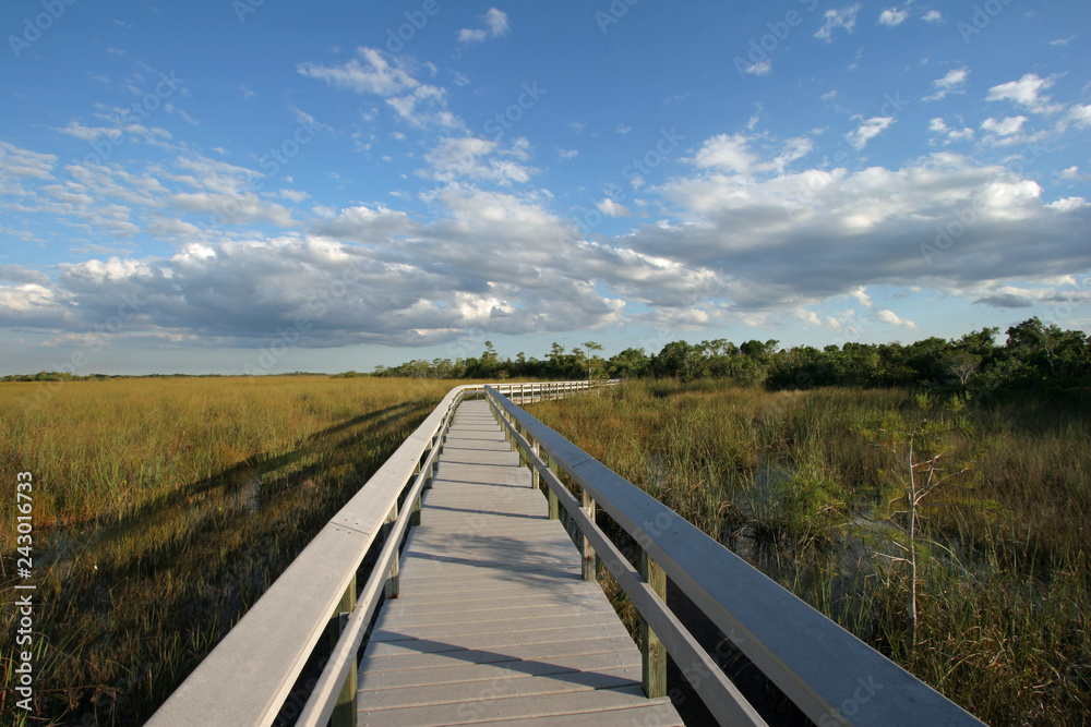 The Pa-Hay-Okee boardwalk in Everglades National Park, Florida, on the edge of an expanse of sawgrass.