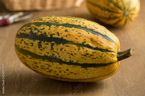 Fresh whole spaghetti squash photo