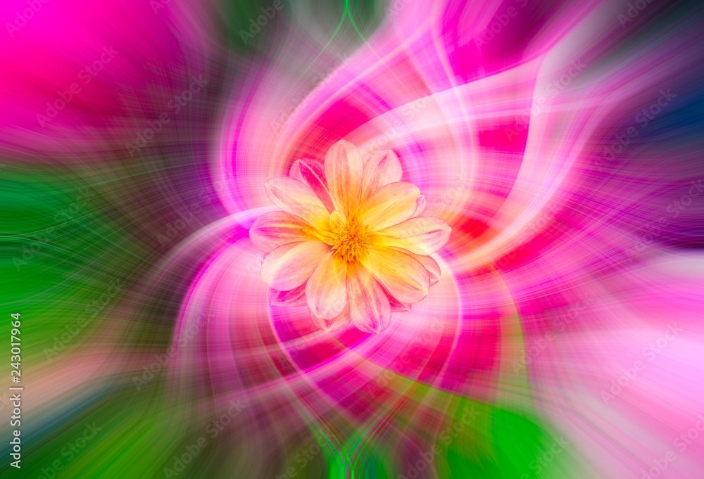 Abstract twirl effect background with flower Abstract twirl effect background with flower