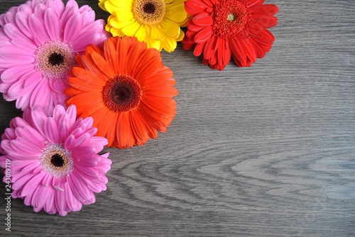 Kolorowe kwiaty na drewnianym tle