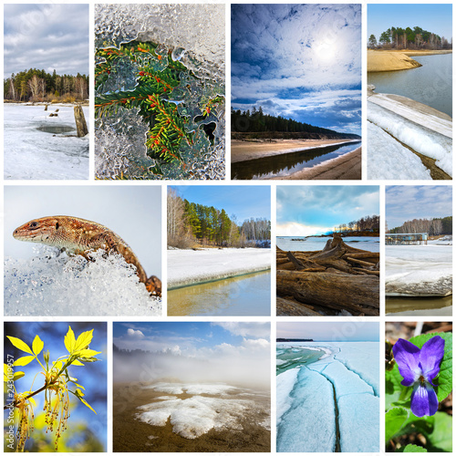 Collage-spring landscape. Western Siberia, Novosibirsk region, Russia