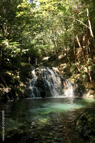 Waterfall in Belize Jungle
