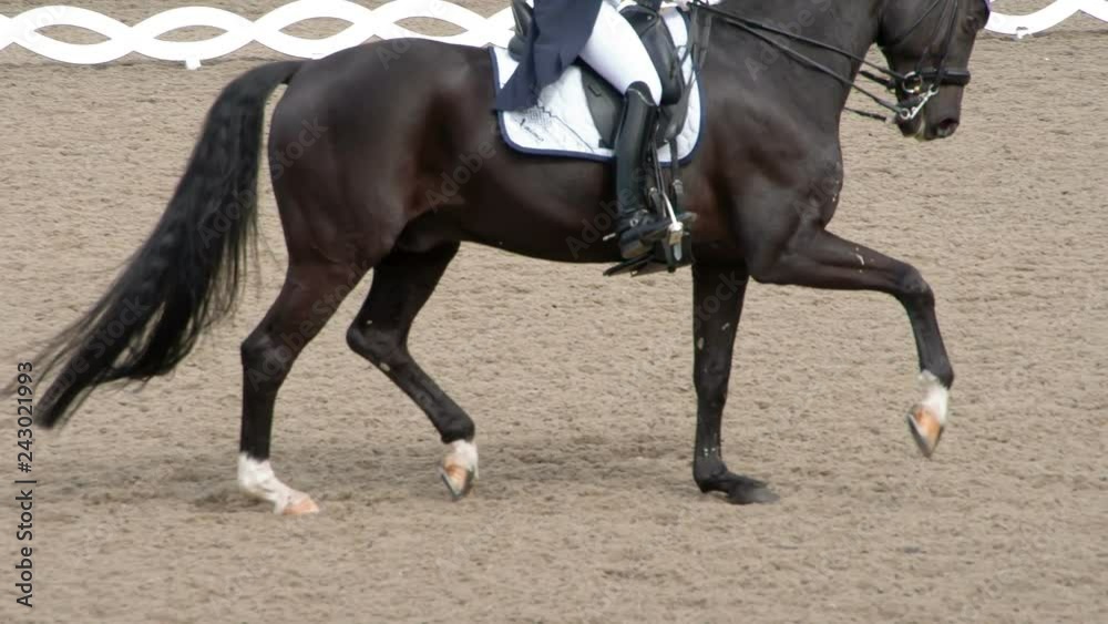 Beautiful Galloping Black Horse. A rider in a traditional costume gracefully rides a pedigreed horse. Slow Motion at a rate of 240 fps Beautiful Galloping Black Horse. A rider in a traditional costume gracefully rides a pedigreed horse. Slow Motion at a rate of 240 fps