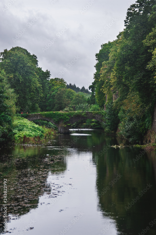 An old stone bridge covered in ivy over quiet calm river in Glenarm, Northern Ireland