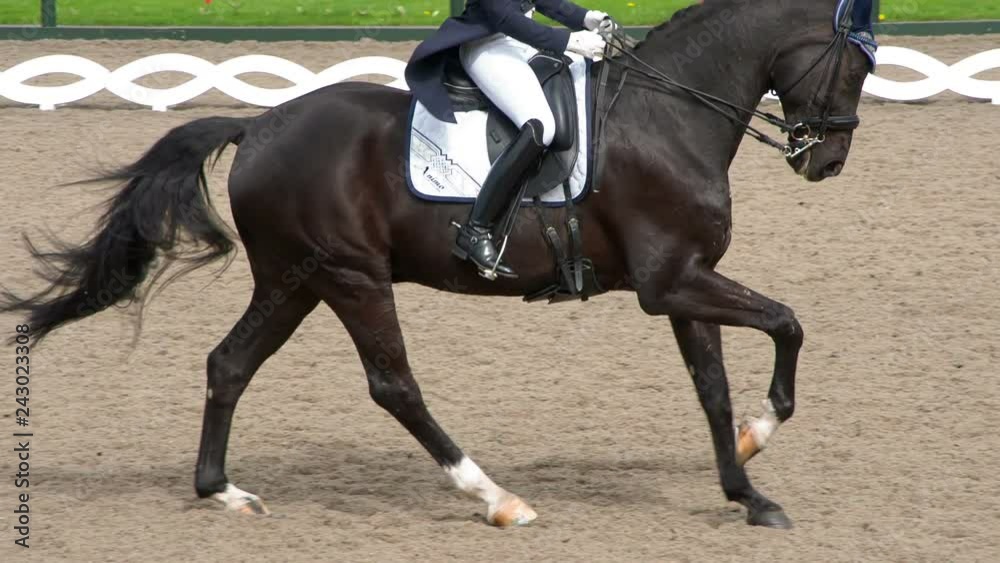 Galloping Horse with a Rider. A rider in a traditional costume gracefully rides a pedigreed horse. Slow Motion at a rate of 240 fps Galloping Horse with a Rider. A rider in a traditional costume gracefully rides a pedigreed horse. Slow Motion at a rate of 240 fps
