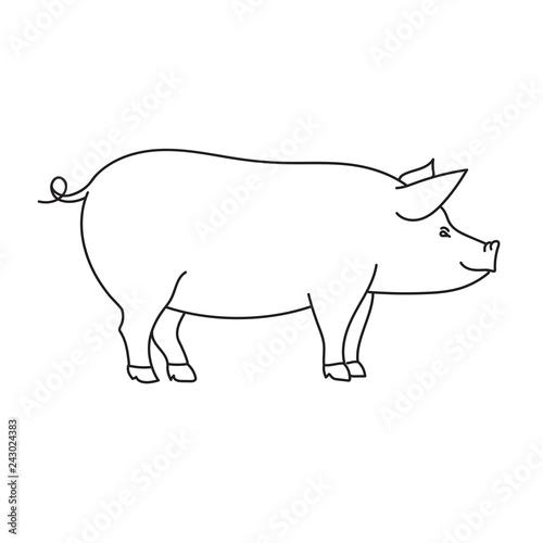 Pig drawing, outline, on white background, vector illustration 