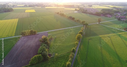 Frische grüne Felder und ländliche Gegend aus der Luft