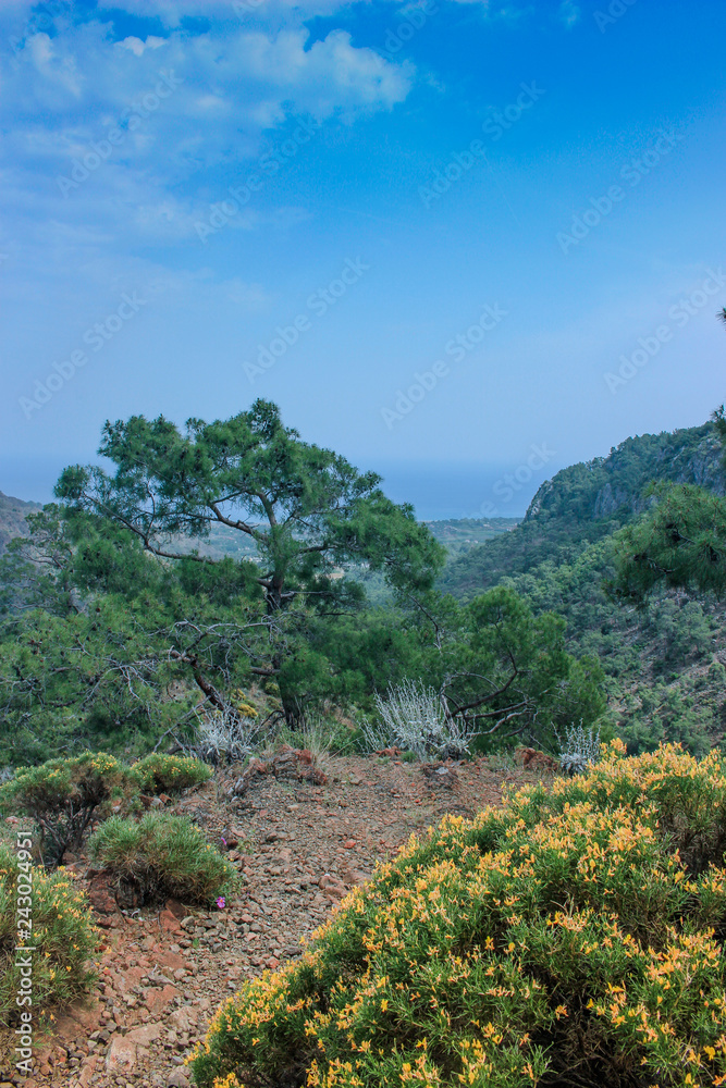 green mountain landscape with sea view. the Lycian way. Turkey green mountain landscape with sea view. the Lycian way. Turkey