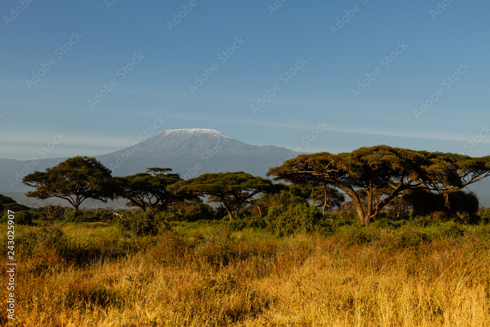 Obraz premium Kilimanjaro