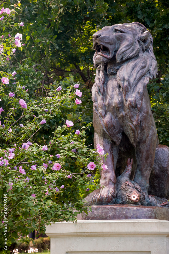 Bronze sculpture of lion in the green summer park Bronze sculpture of lion in the green summer park