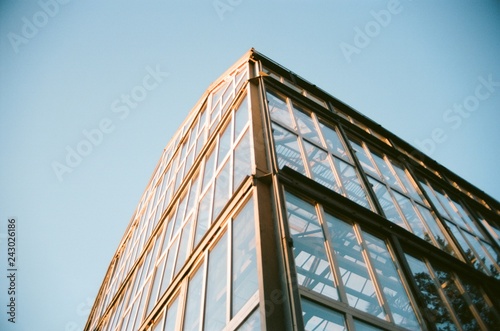 Windows of a greenhouse in a botanical garden in sunset. Orange sunlight covering metallic carcass of the building. Film photography, 35 mm