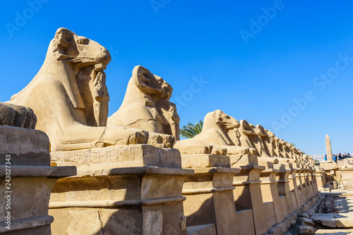 Avenue of the ram-headed Sphinxes in a Karnak Temple. Luxor, Egypt