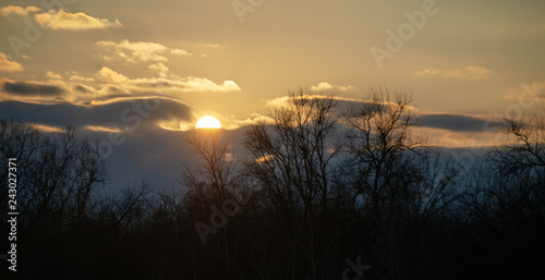 Fototapeta Naklejka Na Ścianę i Meble -  sunset over the forest