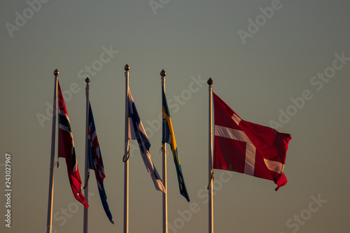 Nordic countries flags blowing in the wind during sunset photo