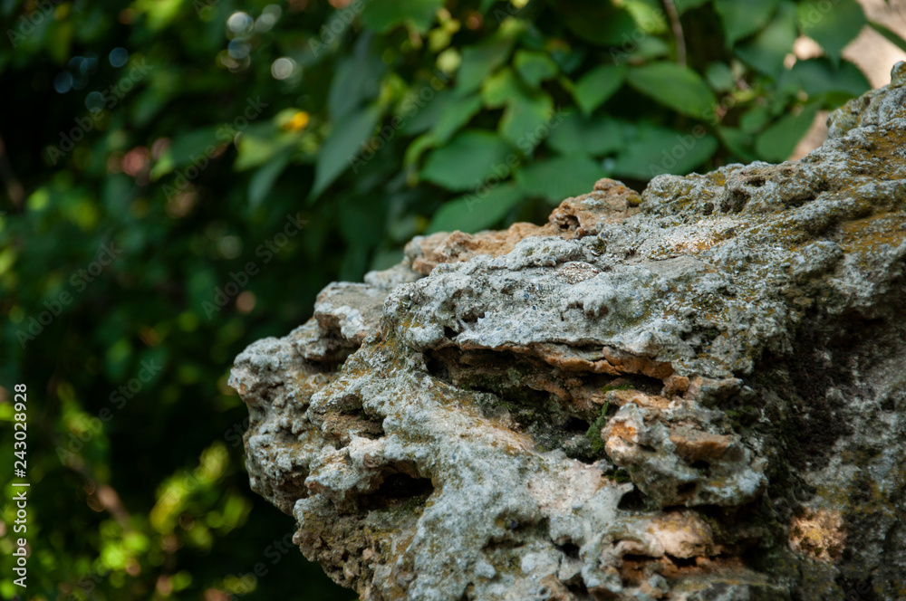 Grey color stones in summer park. Nature background