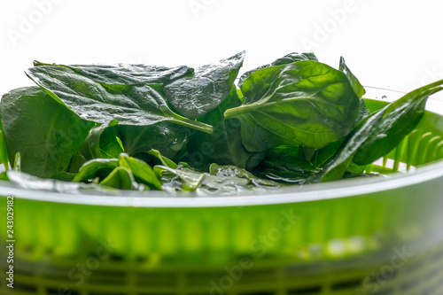 Spinach leaves in centrifuge photo