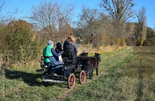 A carriage ride in autumn landscape.