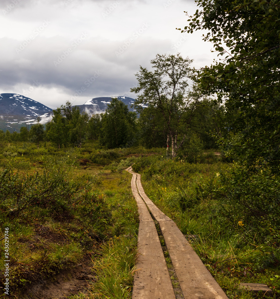 Fototapeta premium Footbridge during the hike of Kungsleden in northern Sweden. Leaving the last forests behind before hiking higher. 
