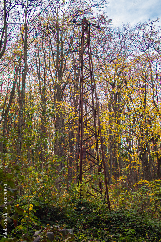 Powerline in the forest. Old style steel pole, rusted. Autumn. 05 Powerline in the forest. Old style steel pole, rusted. Autumn. 05