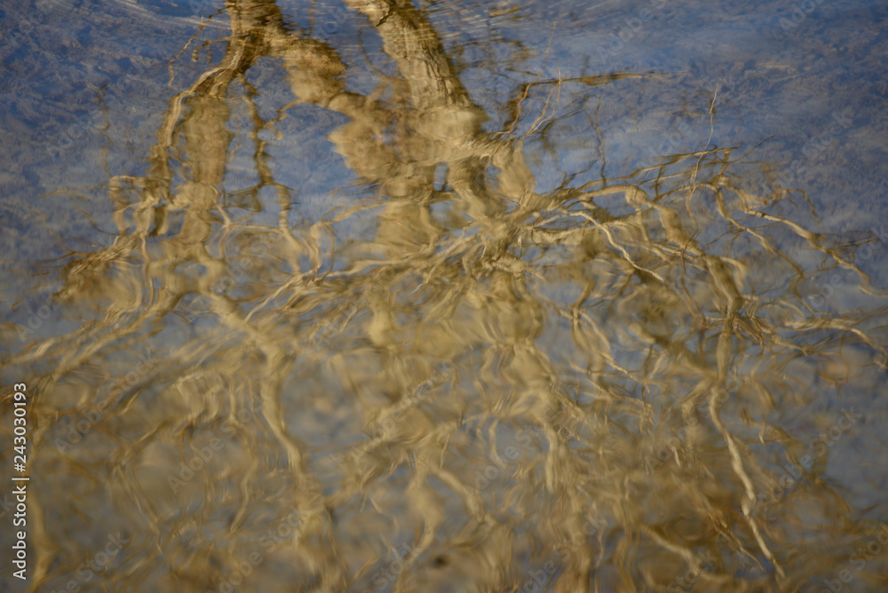abstract image created by the marsh stream of ullibarri-gamboa in Alava (the Basque country)