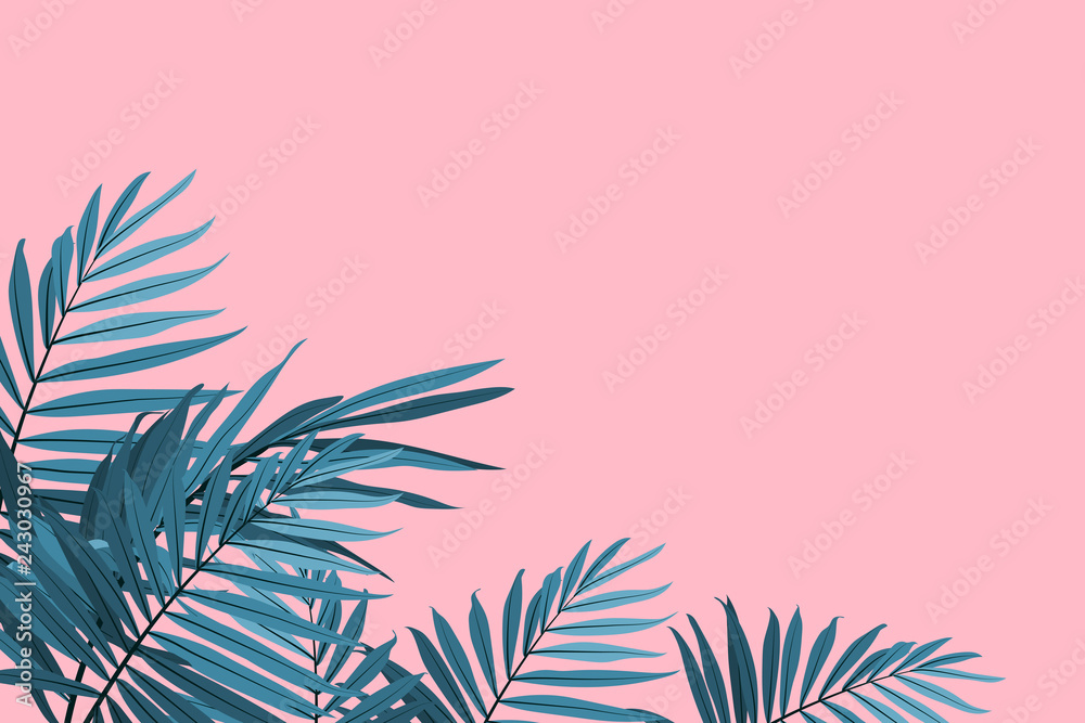 Green palm fronds isolated on a pink background. Tropical leaves trendy  background. Vector illustration Stock Vector | Adobe Stock