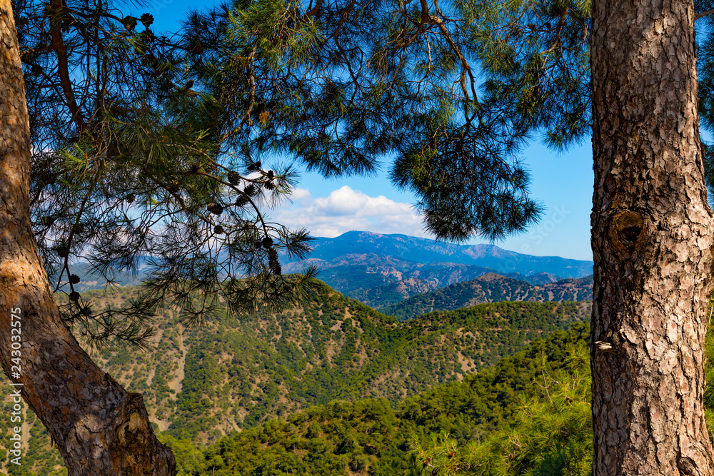 Troodos National Forest Park. Mountains of Cyprus. Troodos National Forest Park. Mountains of Cyprus.