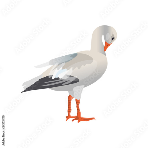 White goose vector