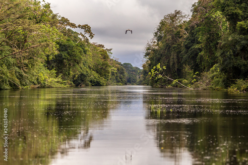 Pacaya Samiria National Reserve