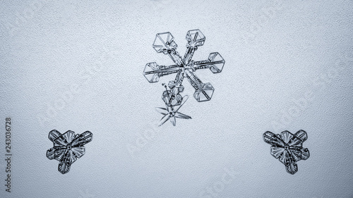 Beautiful snow flake on a light blue background close up