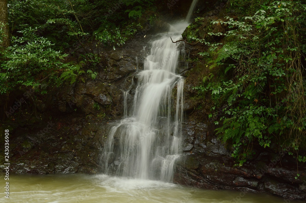 waterfall in forest