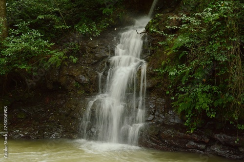 Fototapeta Naklejka Na Ścianę i Meble -  waterfall in forest