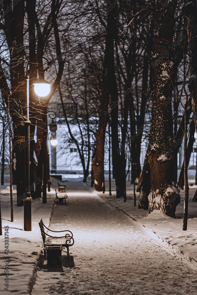Winter park with benches covered with snow in the evening Winter park with benches covered with snow in the evening