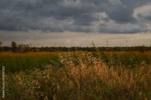 clouds over the  field
