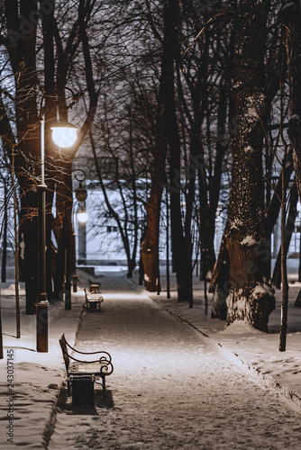 Winter park with benches covered with snow in the evening