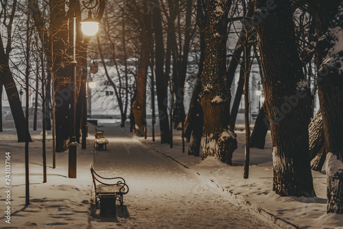 Winter park with benches covered with snow in the evening