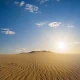hor summer sandy desert landscape