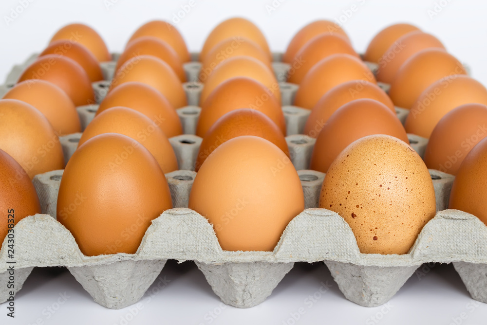 Carton paper tray with 30 brown chicken eggs, close up on white background. Selective focus, front view Carton paper tray with 30 brown chicken eggs, close up on white background. Selective focus, front view