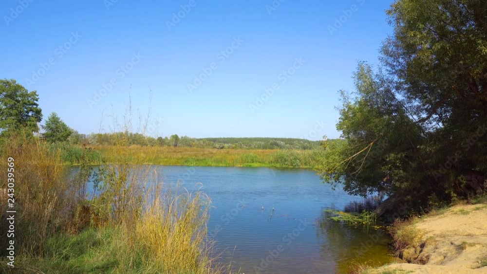 River and nature in summer River and nature in summer