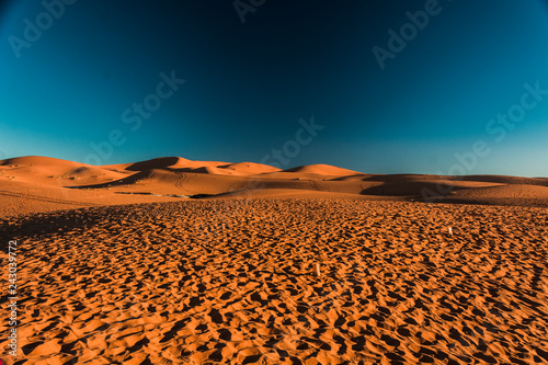 Sahara