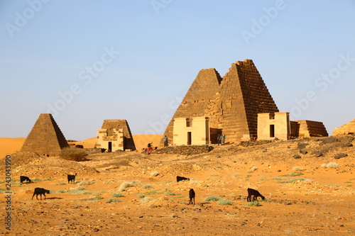  the antique pyramids of the black pharaohs