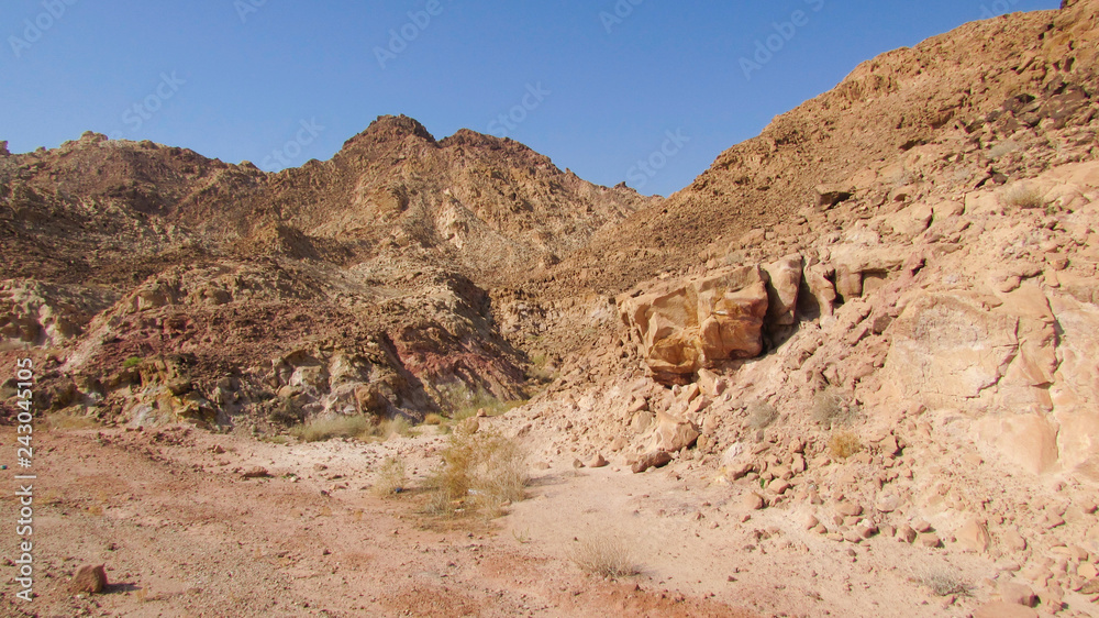 canyon in the desert in Jordan