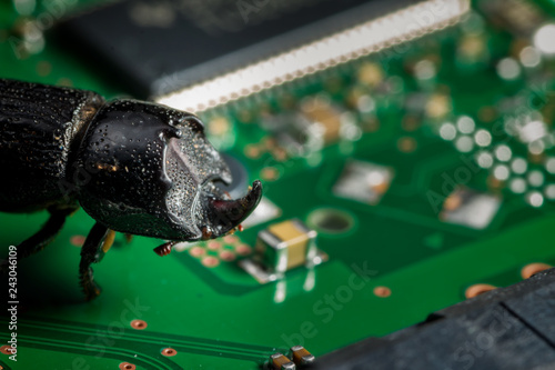 a computer bug causing trouble - on a circuit board photo