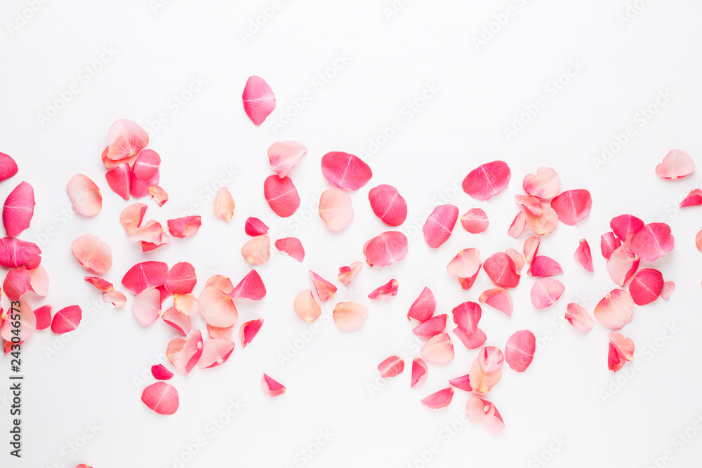 Valentine's Day. Rose flowers petals on white background. Valentines day background. Flat lay, top view, copy space.